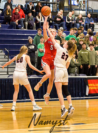 Centennial vs Shakopee Girls Basketball - State Tournament 025