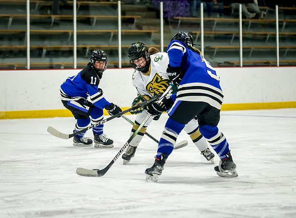 Chisago vs Rogers Varsity Hockey 173