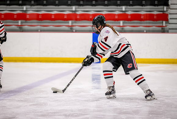 Centennial vs Maple Grove JV Hockey 12