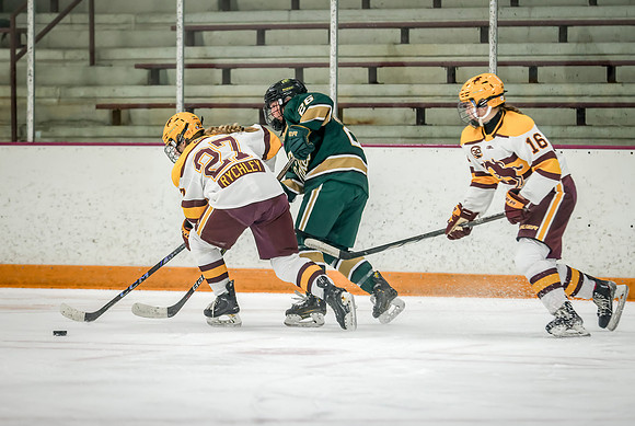 Chisago vs Forest Lake Varsity Hockey 264