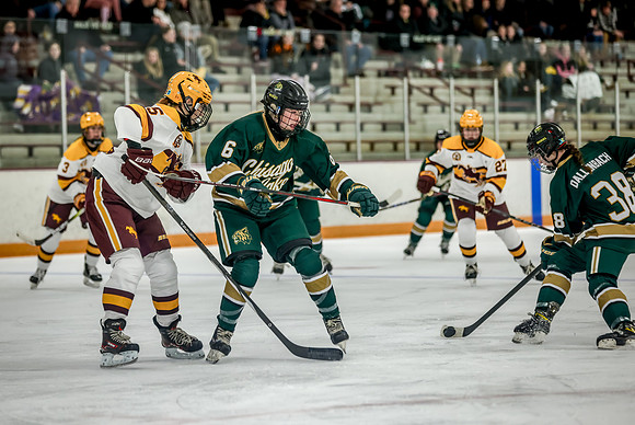 Chisago vs Forest Lake Varsity Hockey 440