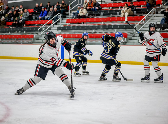 Centennial vs Holy Angels JV Hockey 30