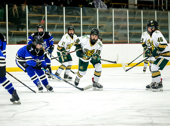 Chisago vs Rogers Varsity Hockey 182