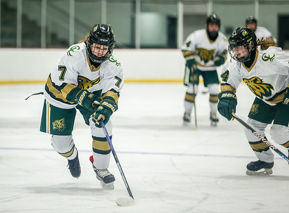 Chisago vs Rogers JV Hockey 101