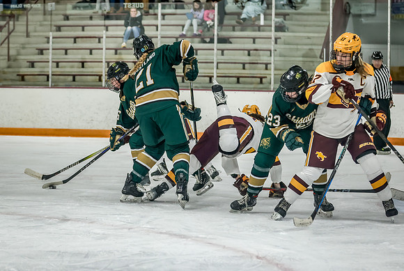 Chisago vs Forest Lake Varsity Hockey 422