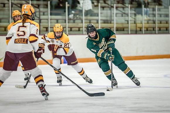 Chisago vs Forest Lake Varsity Hockey 438