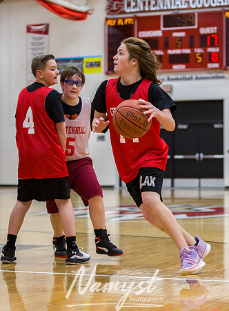 Centennial Basketball Association 196
