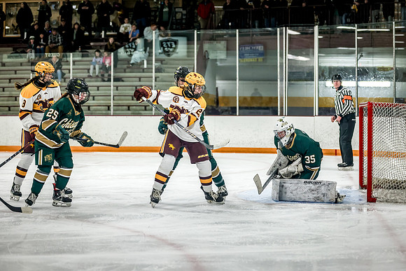 Chisago vs Forest Lake Varsity Hockey 396