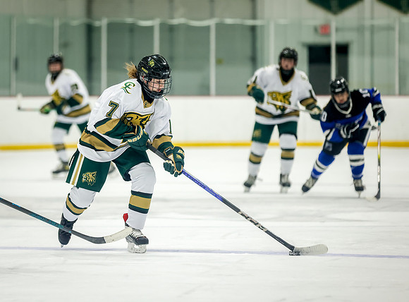 Chisago vs Rogers JV Hockey 204
