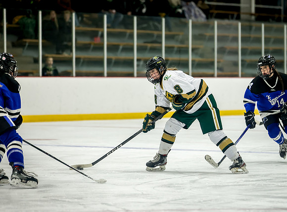 Chisago vs Rogers Varsity Hockey 161
