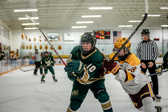 Chisago vs Forest Lake Varsity Hockey 336
