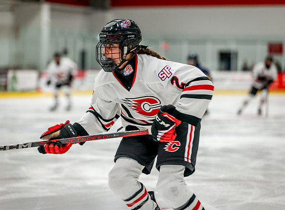 Centennial vs Rosemount Varsity Hockey 99