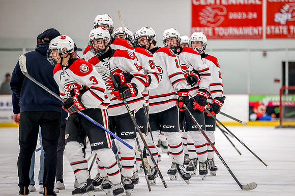Centennial vs Hermantown JV Hockey 238