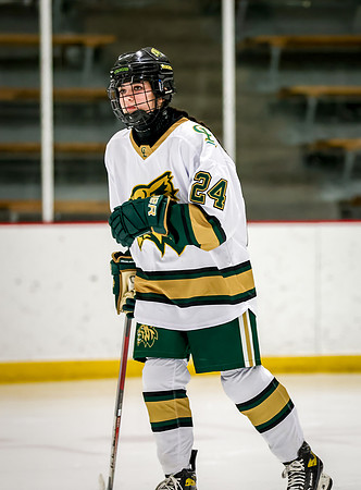 Chisago vs Rogers JV Hockey 8