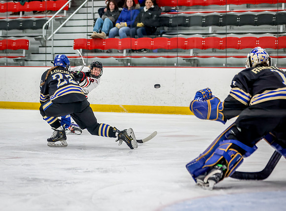Centennial vs Holy Angels Varsity Hockey 36