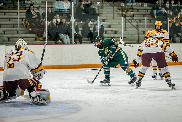 Chisago vs Forest Lake Varsity Hockey 213