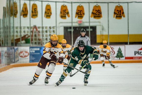 Chisago vs Forest Lake JV Hockey 130
