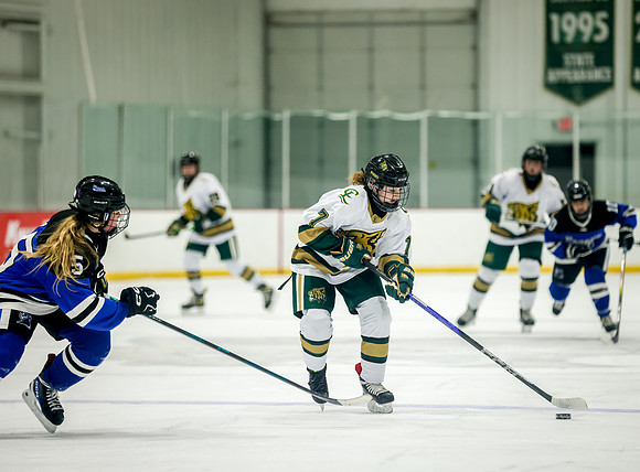 Chisago vs Rogers JV Hockey 205
