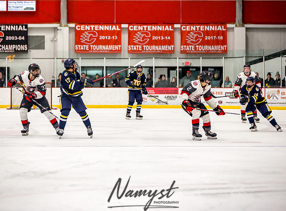Centennial vs Totino-Grace Varsity Hockey 173
