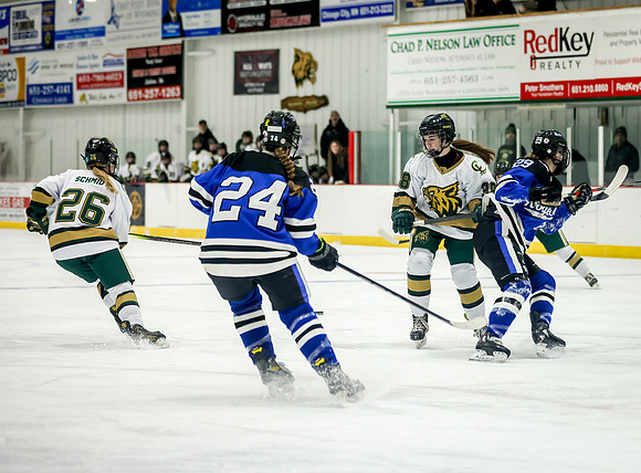 Chisago vs Rogers Varsity Hockey 206