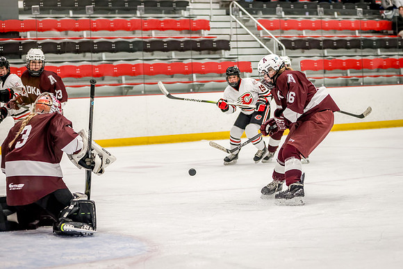 Centennial vs Anoka JV Hockey 87