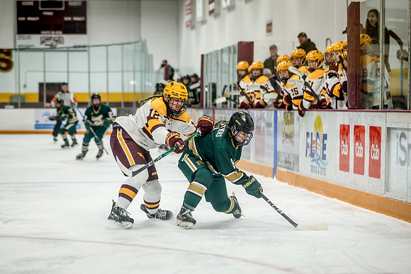 Chisago vs Forest Lake Varsity Hockey 185