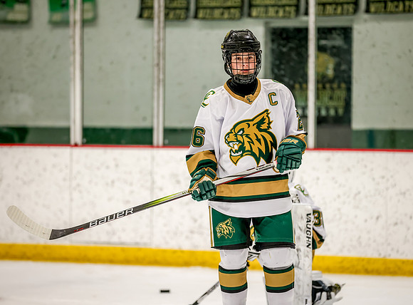 Chisago vs River Lake Stars Varsity Hoc 86
