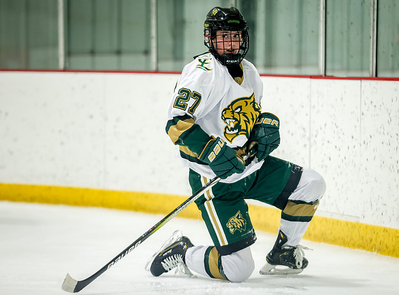 Chisago vs Rogers JV Hockey 368