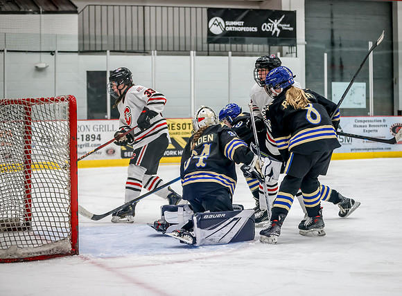 Centennial vs Holy Angels JV Hockey 214
