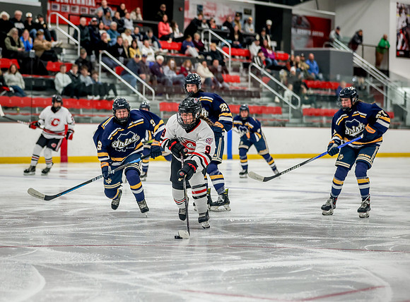 Centennial vs Rosemount Varsity Hockey 199