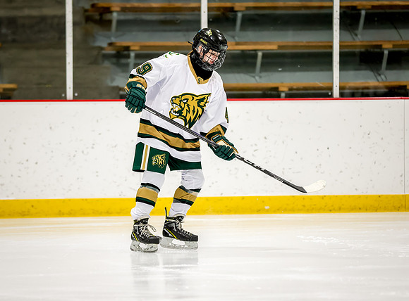 Chisago vs Rogers JV Hockey 37