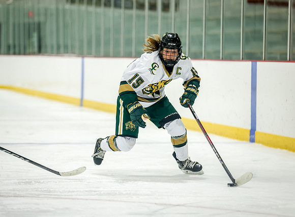 Chisago vs Rogers Varsity Hockey 307