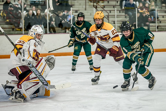 Chisago vs Forest Lake Varsity Hockey 220