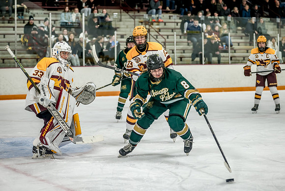 Chisago vs Forest Lake Varsity Hockey 222