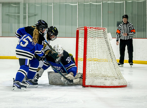 Chisago vs Rogers JV Hockey 373